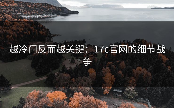 越冷门反而越关键：17c官网的细节战争