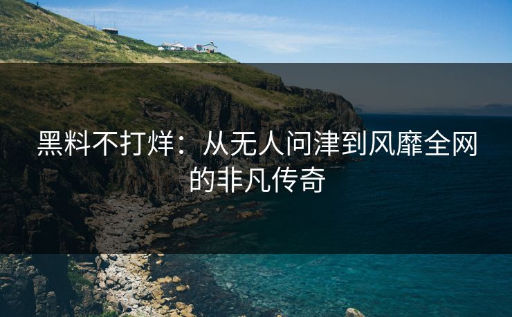 黑料不打烊：从无人问津到风靡全网的非凡传奇