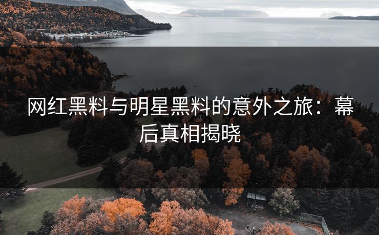 网红黑料与明星黑料的意外之旅：幕后真相揭晓