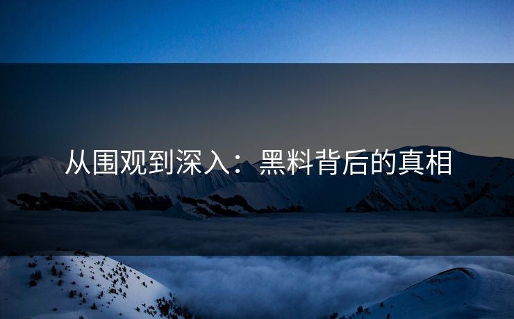 从围观到深入：黑料背后的真相