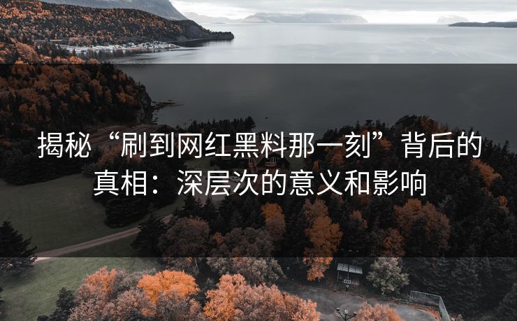 揭秘“刷到网红黑料那一刻”背后的真相：深层次的意义和影响