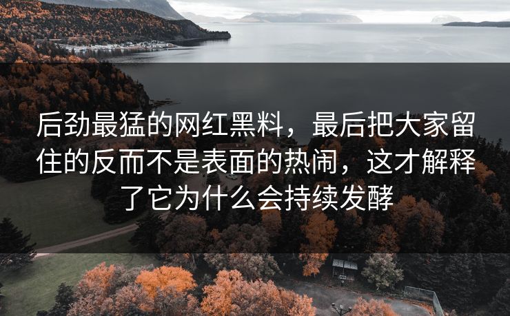 后劲最猛的网红黑料，最后把大家留住的反而不是表面的热闹，这才解释了它为什么会持续发酵